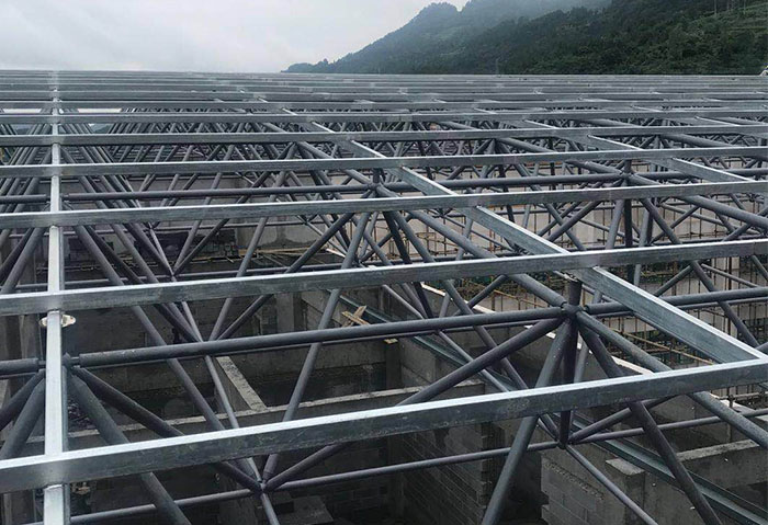 东兴学校艺体楼网架
